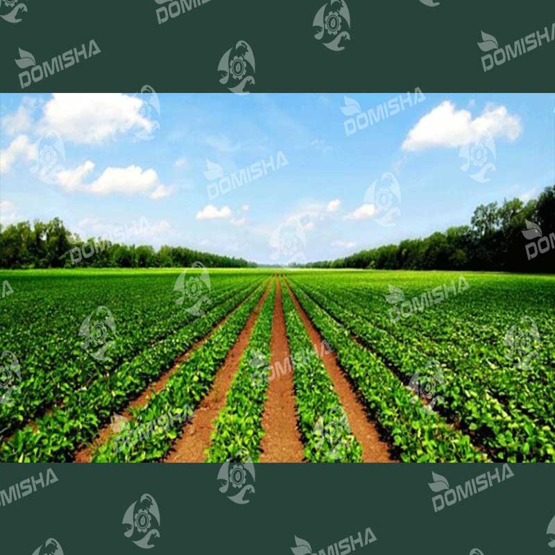 استفاده از خاک اره در کشاورزی