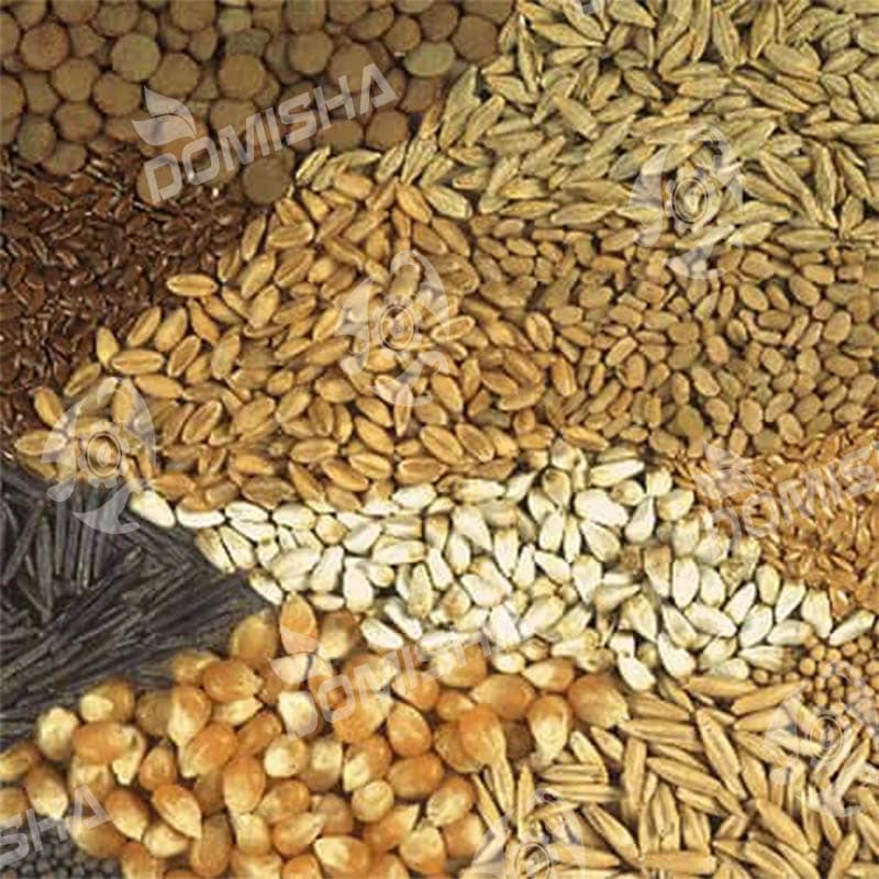 فروش انواع دستگاه دانه پارس