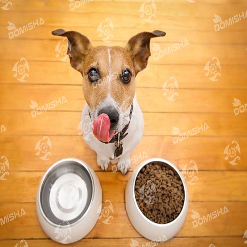 طعم دهنده غذای سگ