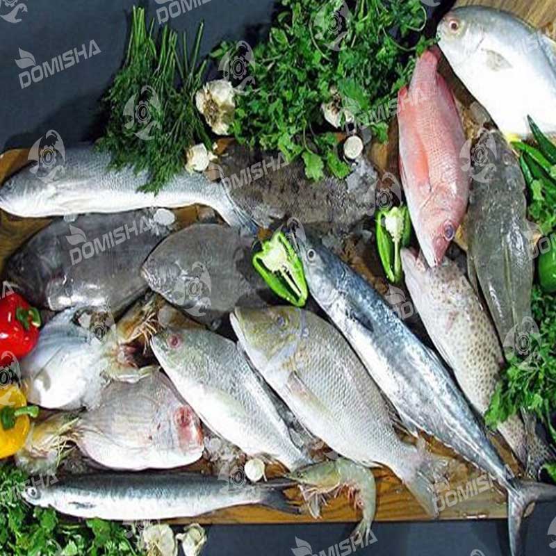 ویژگی تولید با خط تولید خوراک ماهی